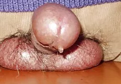 شقراء سكس ام مع ابنه عربي كبير الثدي