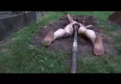 سائق سحاق امهات مترجم عربي