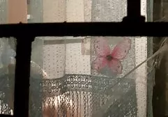 تشتري امهات عربيات سكس يوميا 6-s-0002-المشهد 3