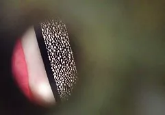 يا صاح!!!!! سكس امهات عربي جديد