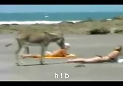 ربما الأبيض والأسود ديك امرأة سكس امهات العرب Nutt2 اليوم